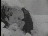 Thumbnail 16