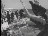 Thumbnail 25