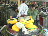 Thumbnail 15