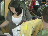 Thumbnail 17