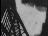 Thumbnail 25