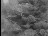 Thumbnail 38
