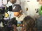 Thumbnail 34