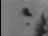 Thumbnail 39