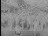 Thumbnail 29