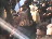 Thumbnail 21