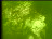 Thumbnail 43