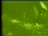 Thumbnail 45