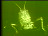 Thumbnail 47