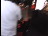 Thumbnail 27
