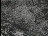 Thumbnail 35