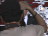 Thumbnail 33