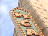Thumbnail 15