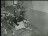 Thumbnail 45