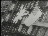 Thumbnail 55