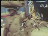 Thumbnail 21