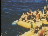 Thumbnail 59