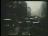Thumbnail 31
