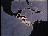 Thumbnail 0