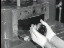 Thumbnail 16