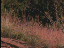 Thumbnail 21