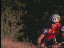 Thumbnail 22