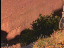 Thumbnail 30
