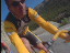 Thumbnail 43