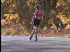 Thumbnail 16