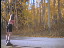 Thumbnail 17