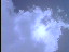 Thumbnail 19