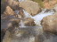 Thumbnail 22