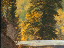 Thumbnail 21
