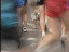 Thumbnail 29