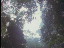 Thumbnail 20