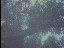 Thumbnail 21