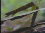 Thumbnail 23