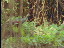 Thumbnail 27