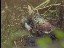 Thumbnail 28
