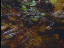 Thumbnail 34