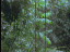 Thumbnail 35