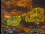 Thumbnail 38