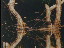 Thumbnail 41