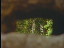 Thumbnail 38