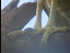 Thumbnail 28