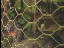 Thumbnail 30