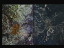 Thumbnail 31