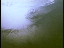 Thumbnail 21
