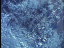 Thumbnail 17