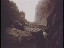 Thumbnail 28